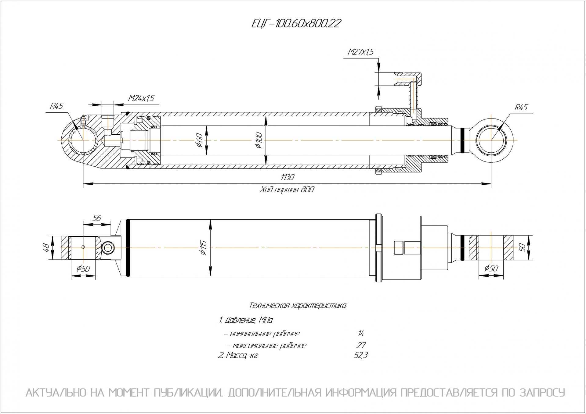 ЕЦГ-100.60х800.22 Гидроцилиндр