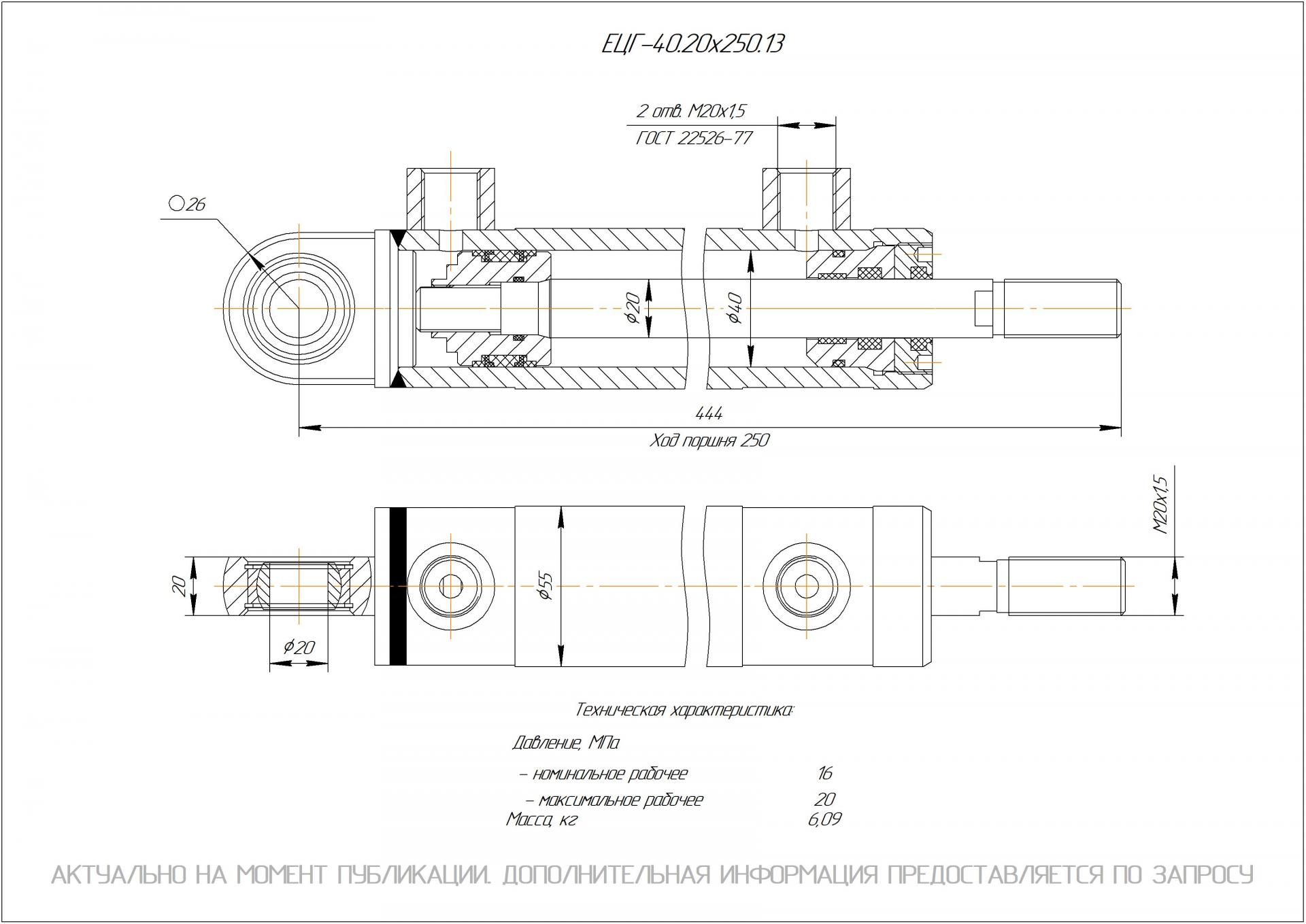 ЕЦГ-40.20х250.13 Гидроцилиндр