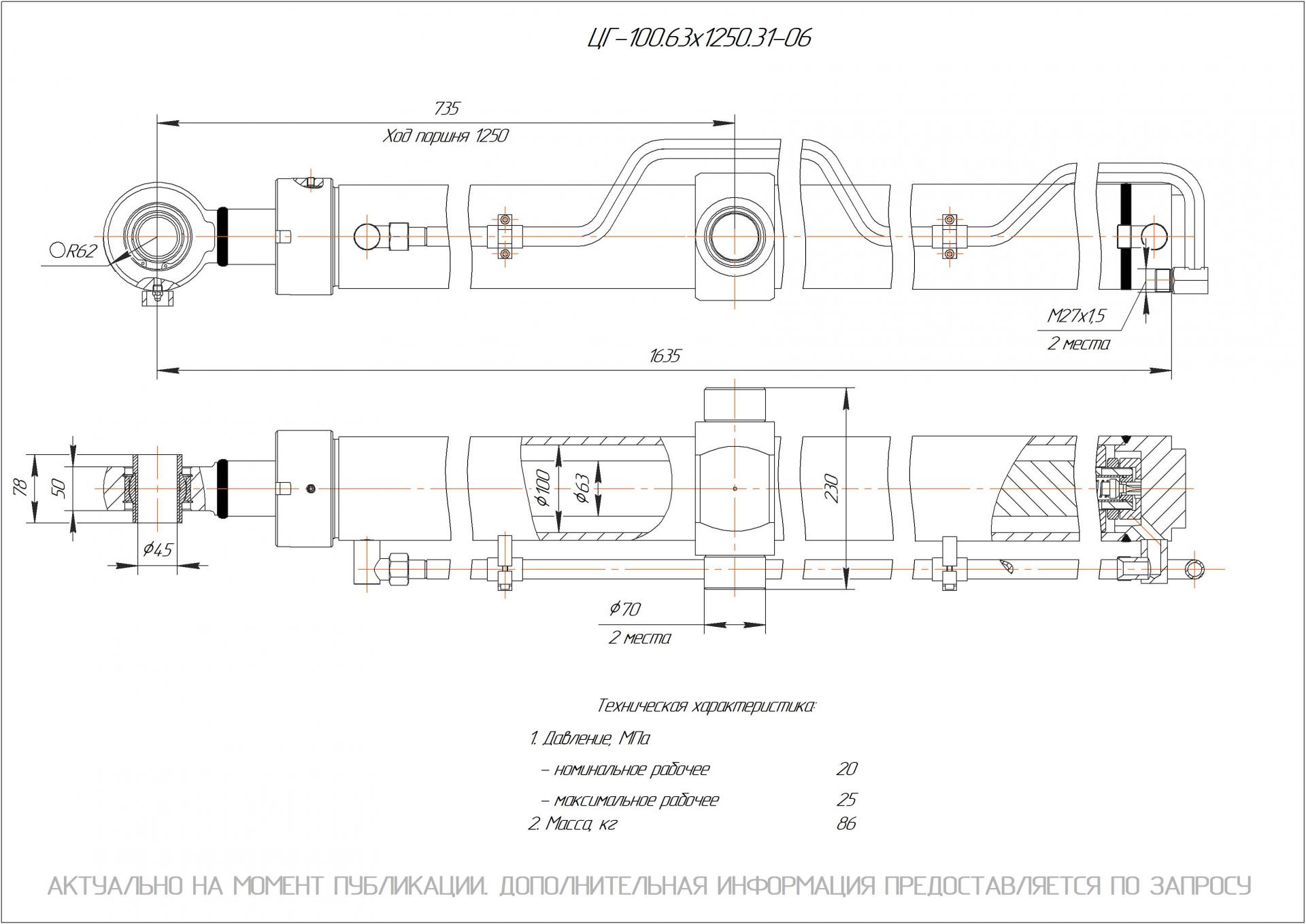 ЦГ-100.63х1250.31-06 Гидроцилиндр