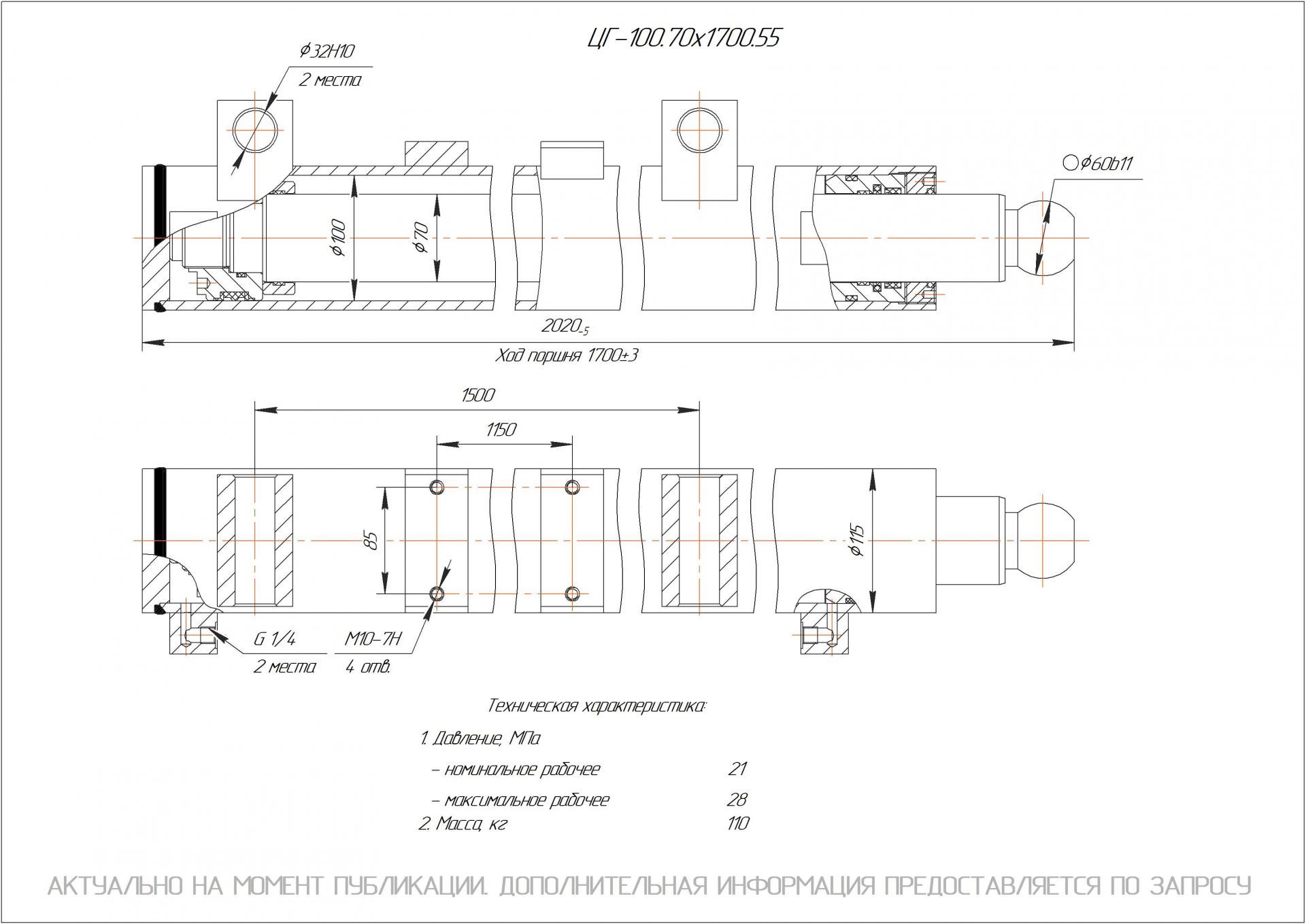 ЦГ-100.70х1700.55 Гидроцилиндр