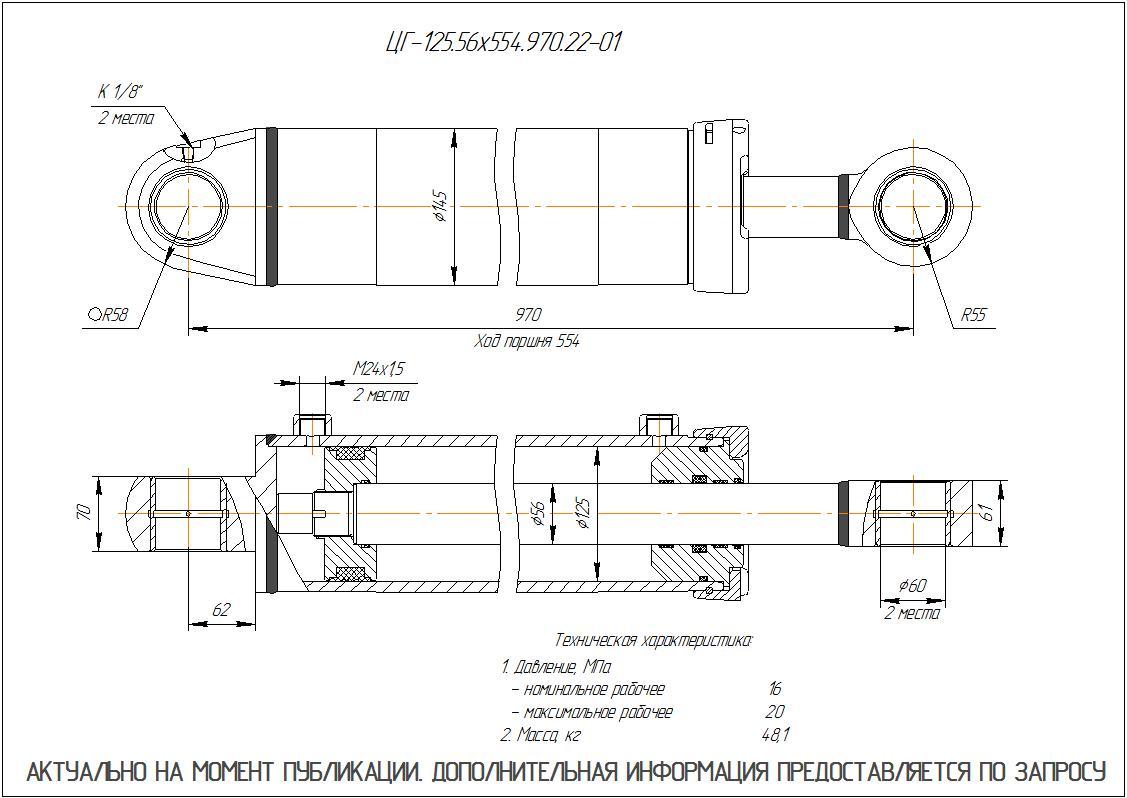 ЦГ-125.56х554.970.22-01 Гидроцилиндр