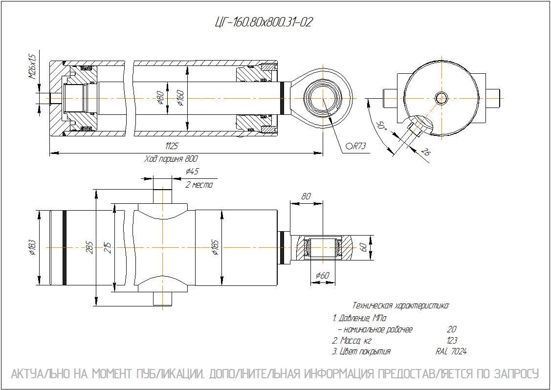 ЦГ-160.80х800.31-02 Гидроцилиндр