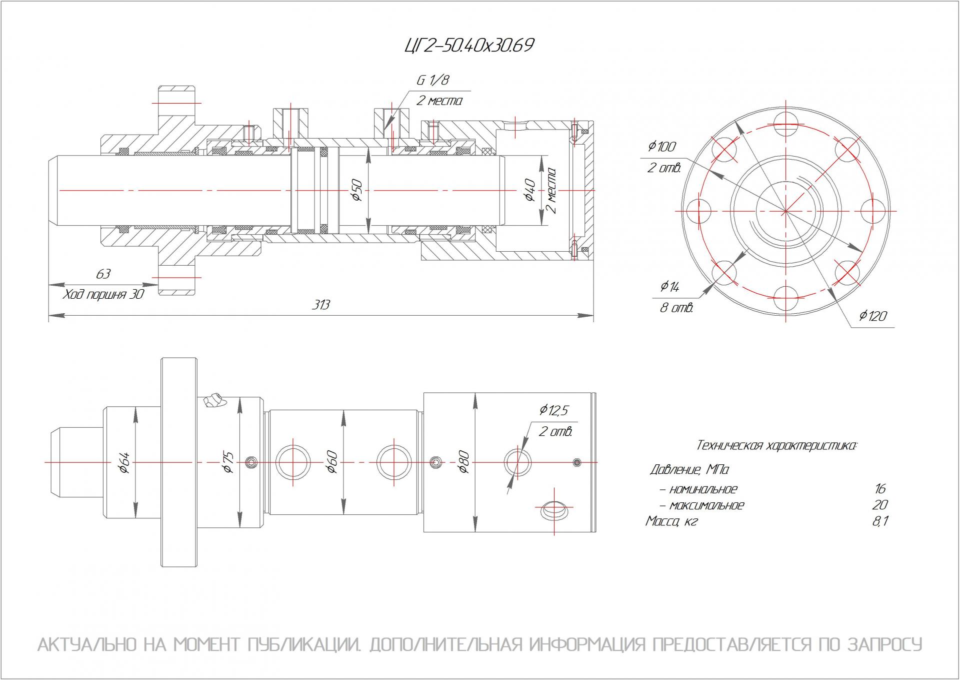 ЦГ-2-50.40х30.69 Гидроцилиндр