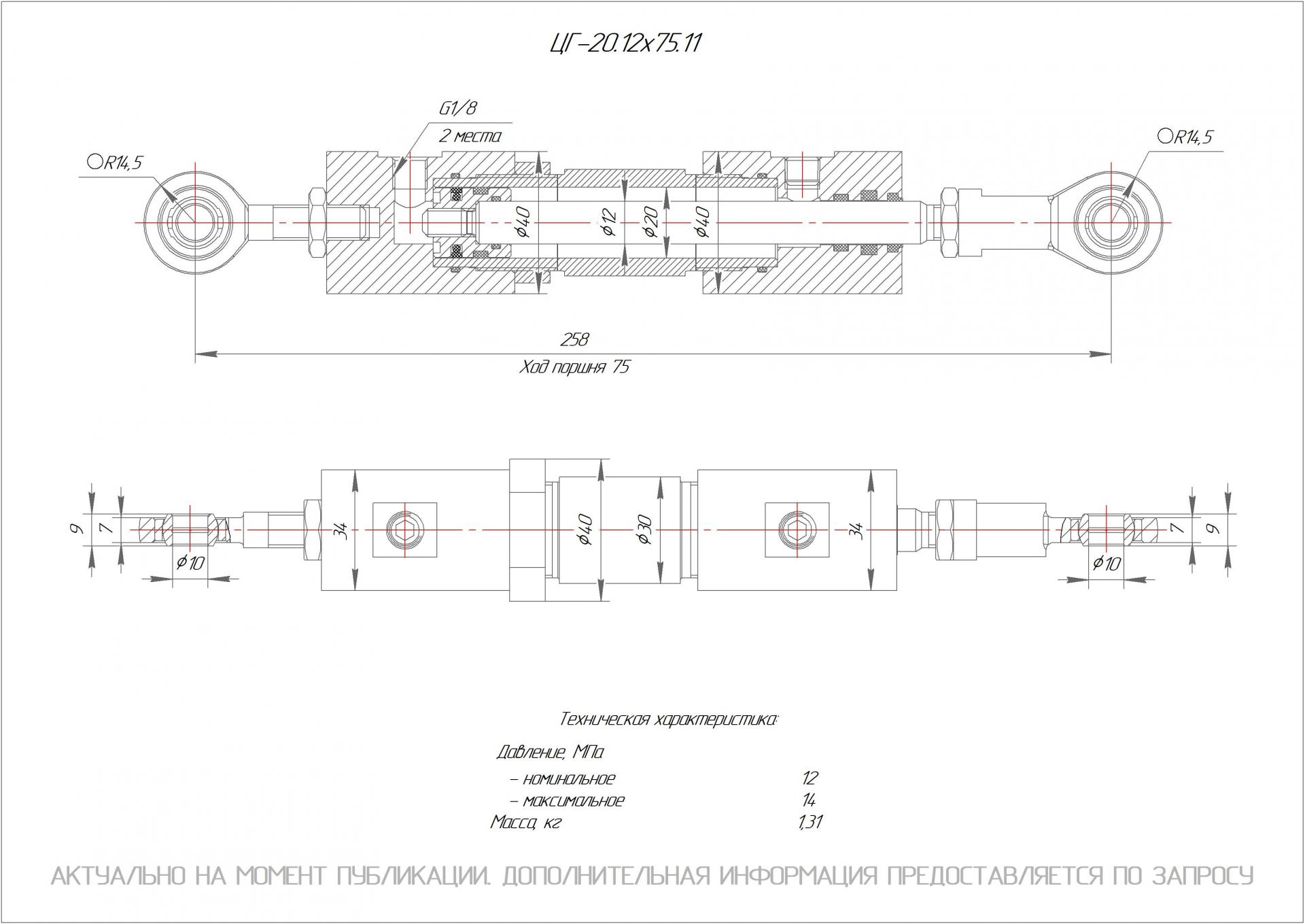 ЦГ-20.12х75.11 Гидроцилиндр