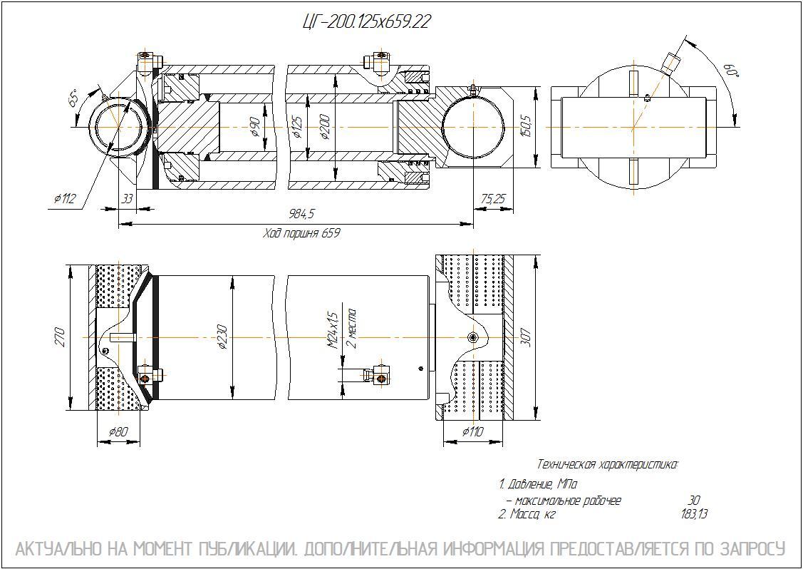 ЦГ-200.125х659.22 Гидроцилиндр