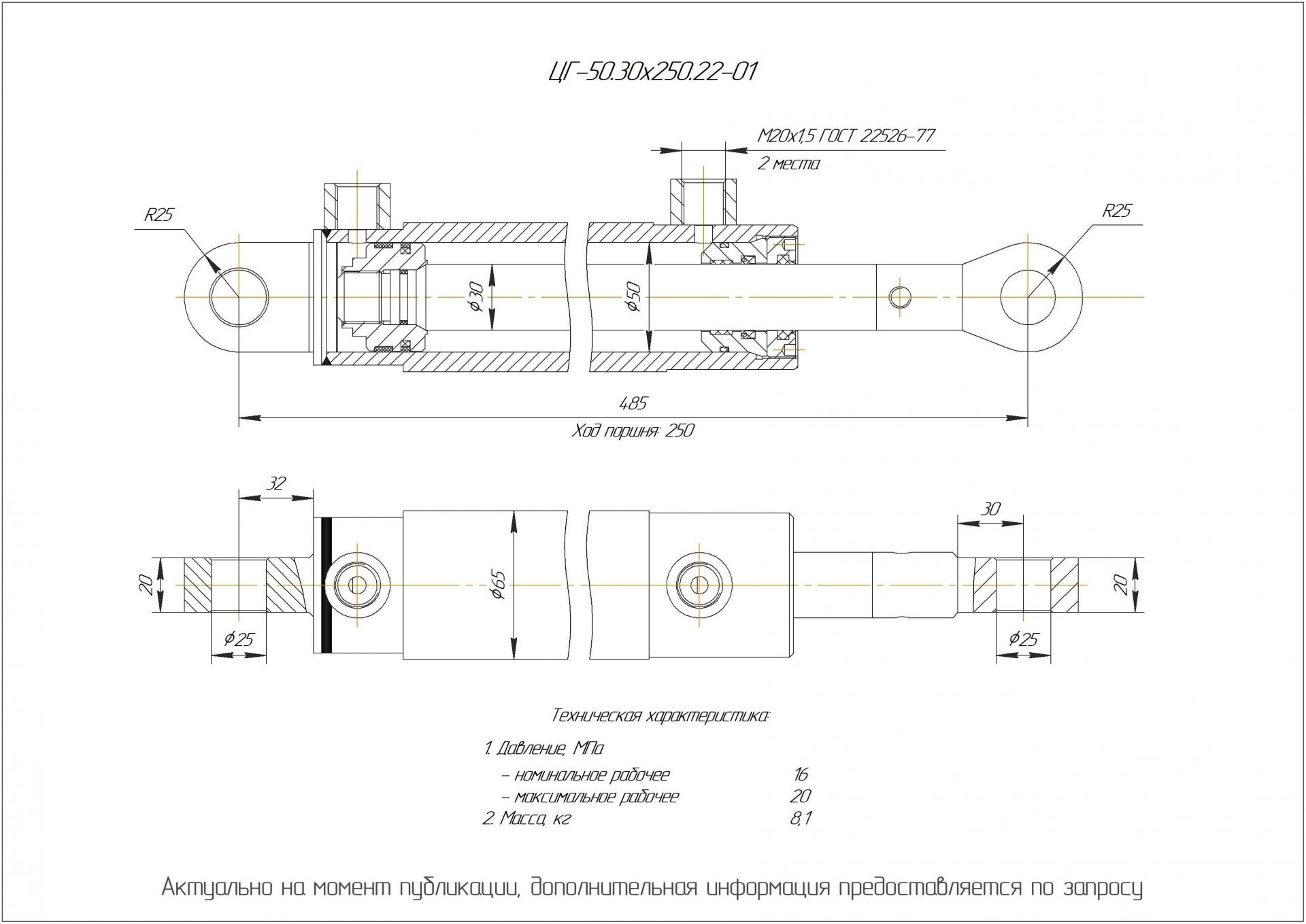 ЦГ-50.30х250.22-01 Гидроцилиндр