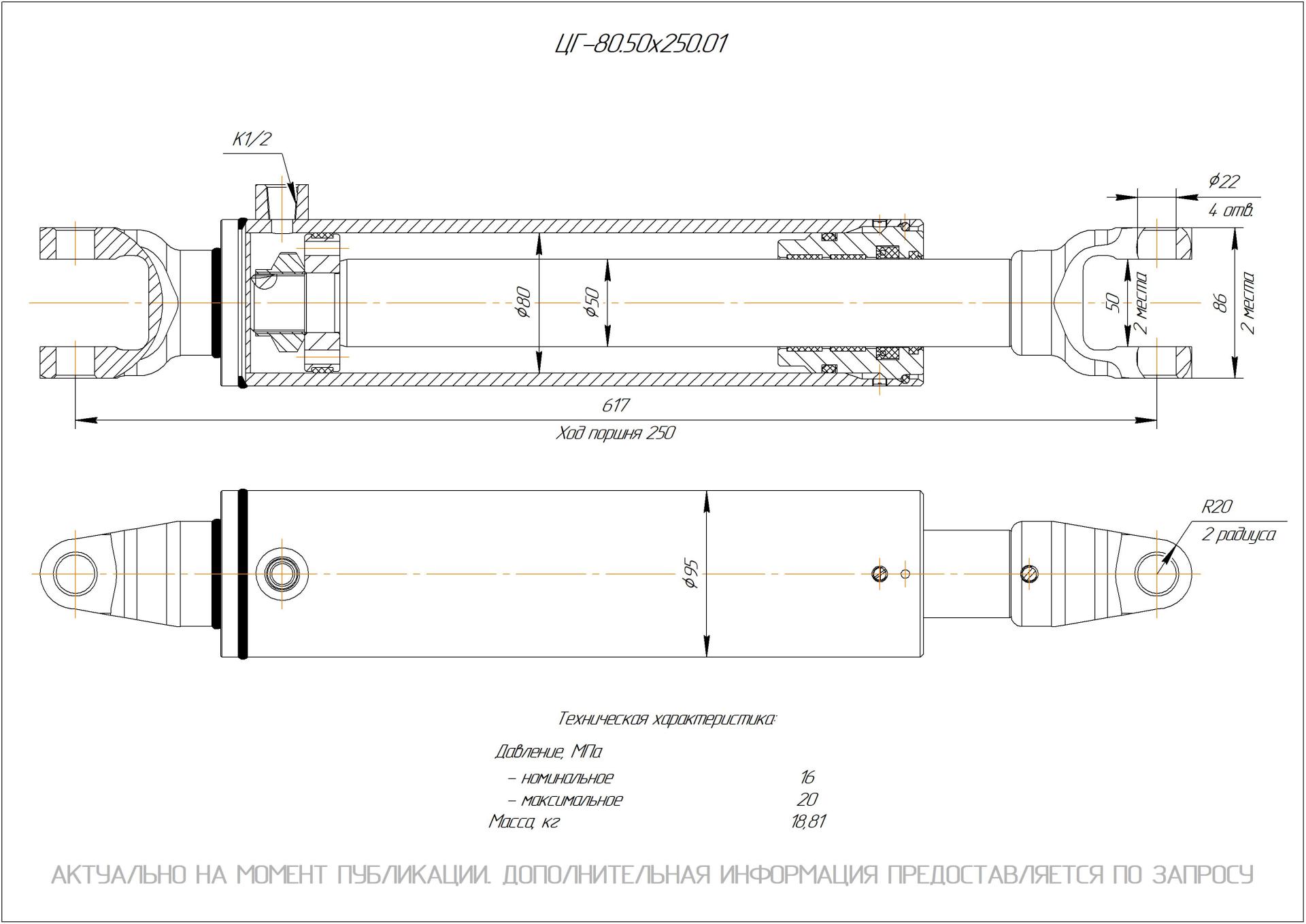 ЦГ-80.50х250.01  Гидроцилиндр